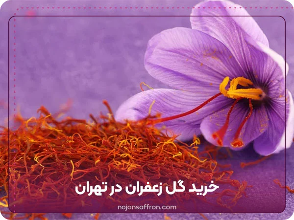 خرید گل زعفران در تهران