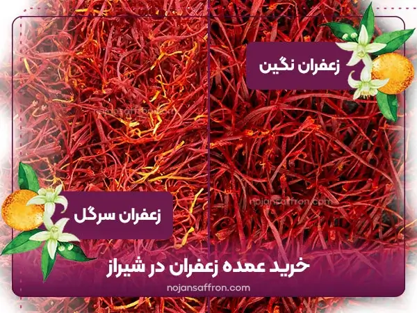 خرید زعفران نگین و سرگل در شیراز