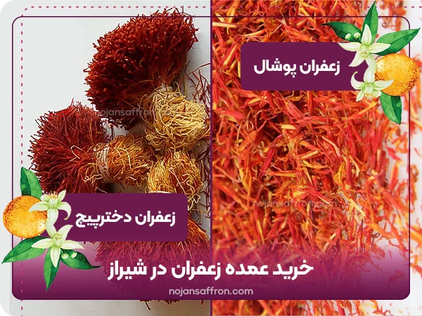 خرید زعفران پوشال و دخترپیچ در شیراز