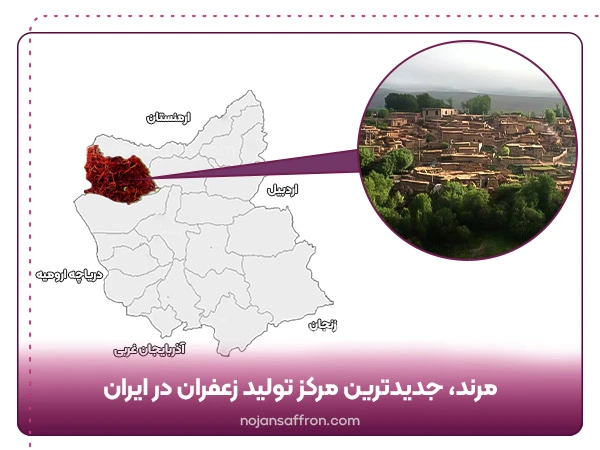 مرند، جدیدترین مرکز تولید زعفران در ایران