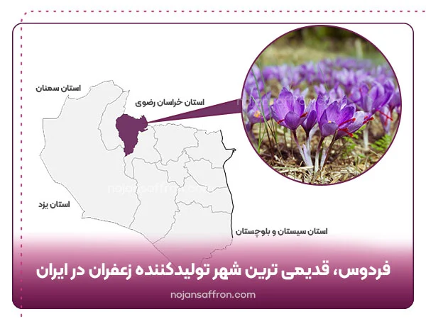 فردوس، قدیمی ترین شهر تولیدکننده زعفران در ایران