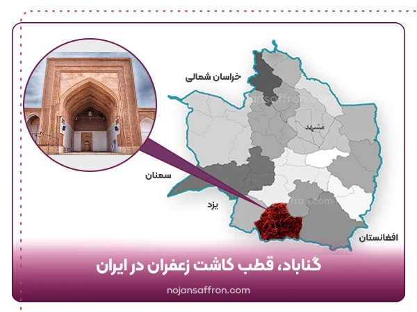 گناباد قطب کاشت زعفران در ایران