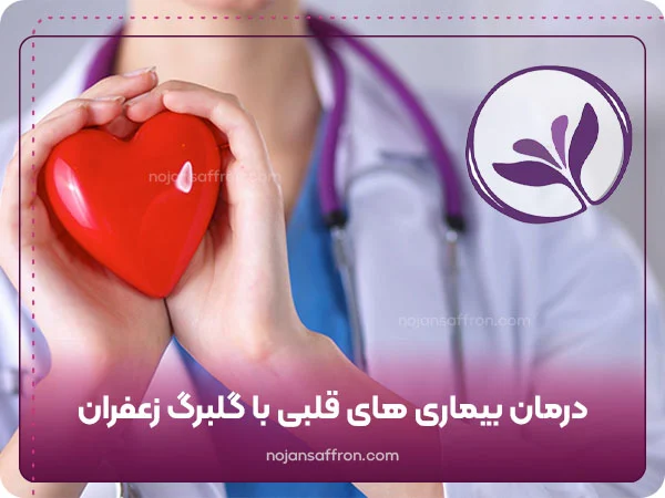 درمان بیماری‌ های قلبی با گلبرگ زعفران